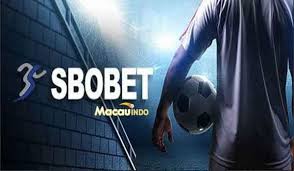 Daftar Agen Sbobet Panduan Lengkap untuk Pemula