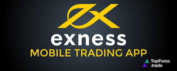 Understanding the Benefits of Exness Forex & CFDs
